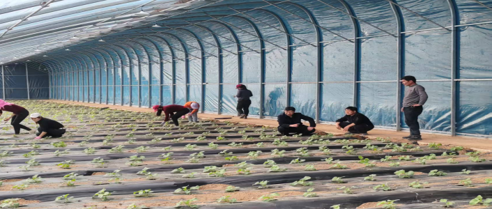 1772505899619.png 1772505899619.png